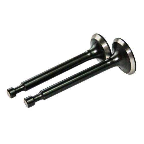 Клапан входа + выхода двигателя GX270