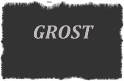 Автомат УЗО 20А 220V затирочной машины GROST ZME600 106841 - фото 69430