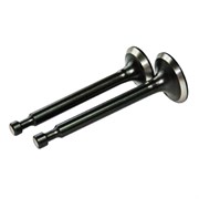 Клапан входа+выхода бензинового двигателя G120F