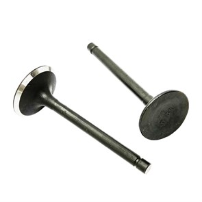 {{productViewItem.photos[photoViewList.activeNavIndex].Alt || productViewItem.photos[photoViewList.activeNavIndex].Description || 'Клапаны (пара) двигателя Loncin LC2V78F-2A'}}