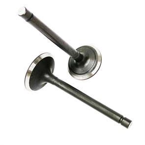 {{productViewItem.photos[photoViewList.activeNavIndex].Alt || productViewItem.photos[photoViewList.activeNavIndex].Description || 'Клапана нового образца (тонкая проточка) двигателя Champion G390НК, G680HKE'}}